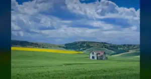 28% of WV & KY Hit Moderate Drought—Farmers Face 15% Hay Loss