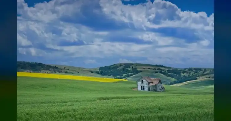 28% of WV & KY Hit Moderate Drought—Farmers Face 15% Hay Loss