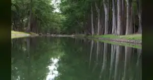Texas Rangers: Camp Mystic Tragedy Was More Than a Natural Disaster