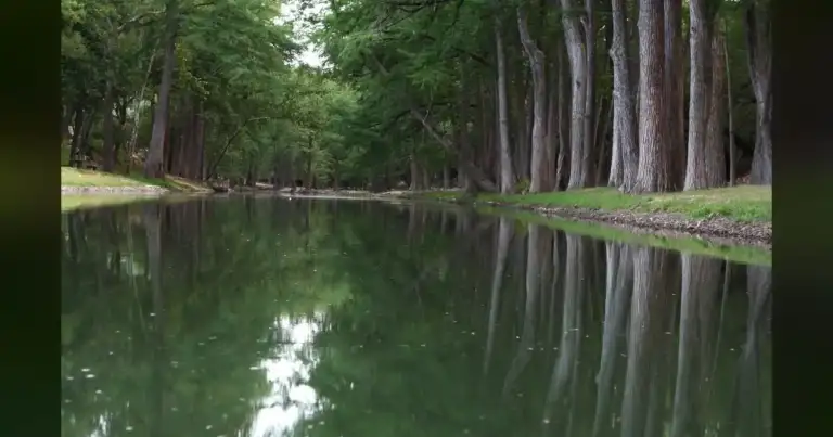 Texas Rangers: Camp Mystic Tragedy Was More Than a Natural Disaster
