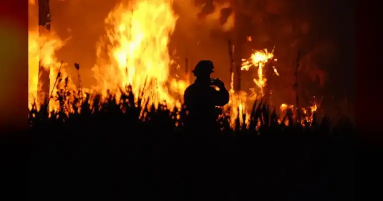 Colorado Officials Ignored Warnings—Now 1,200 Flee Raging Wildfires