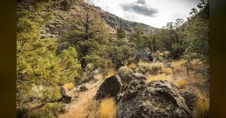 DEEP Official: "We Urge Vigilance" — But This Trail Had No Warnings