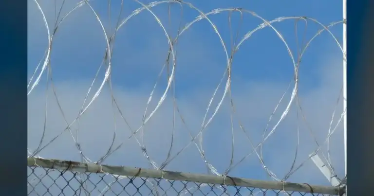 Hunt for ex-police chief convicted of murder who escaped Arkansas prison - BBC