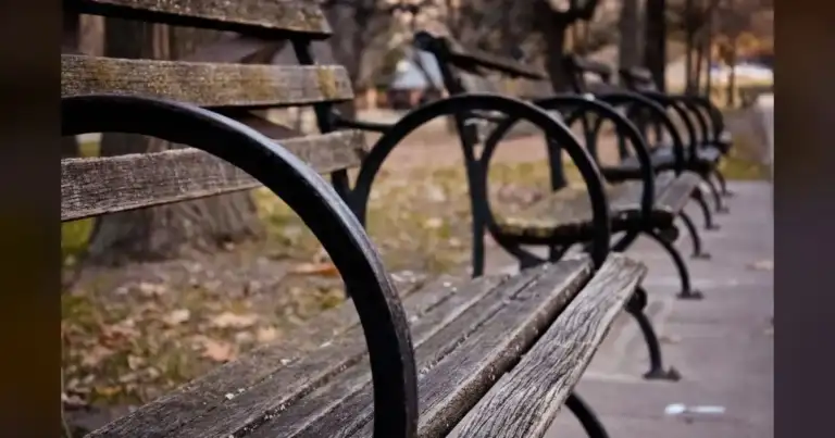 Connecticut: Our negligence turned parks into graveyards.