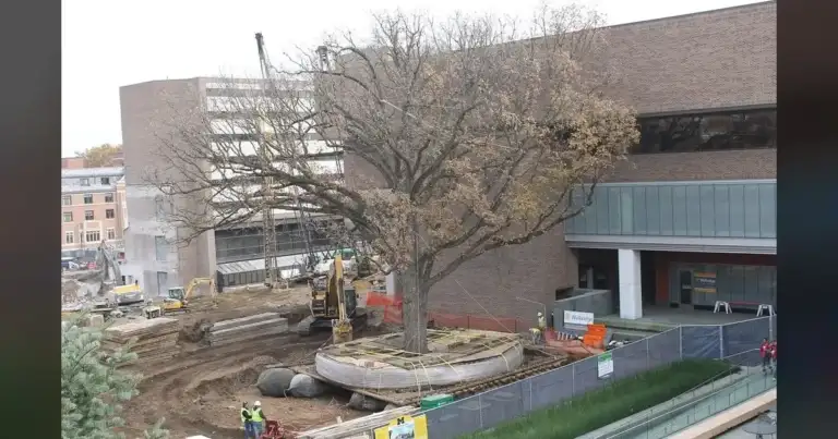 University of Michigan: "Hostile questioning" killed our researcher.