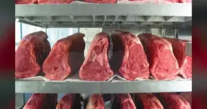 Florida Just Banned Lab-Grown Meat — Permanently.