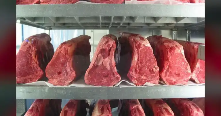 Florida Just Banned Lab-Grown Meat — Permanently. 11 Florida Just Banned Lab-Grown Meat — Permanently.