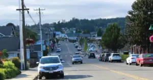19-Year-Old Arrested for Crash That Killed 3 WA Students