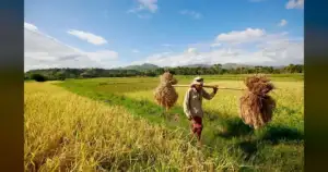 Washington Farmer: ICE Raids During Planting Season Threaten Our Crops