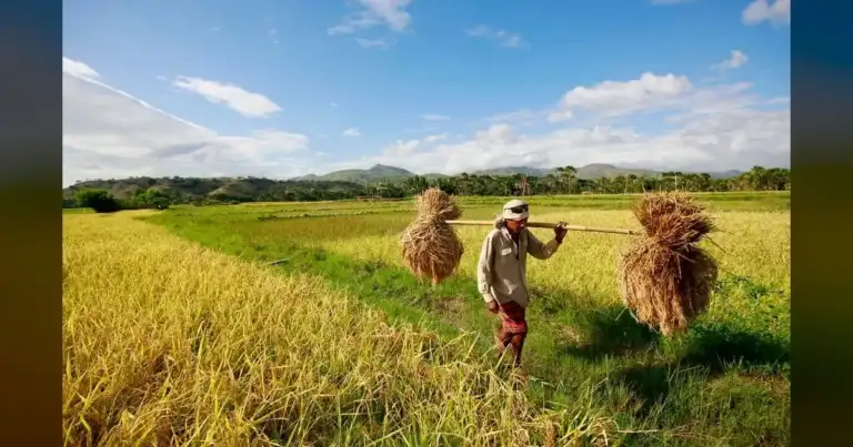 Washington Farmer: ICE Raids During Planting Season Threaten Our Crops