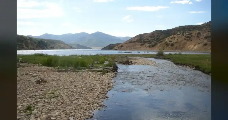 12 Drowned Last Year: Mark Jensen Adds to Jordanelle's Cold Toll 1 12 Drowned Last Year: Mark Jensen Adds to Jordanelle's Cold Toll