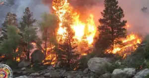 Larimer County Fire Forces 1,000 to Evacuate—Containment Only 20%