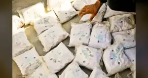 Maryland Police Seized $500K in Drugs—But Overdoses Still Hit Record High
