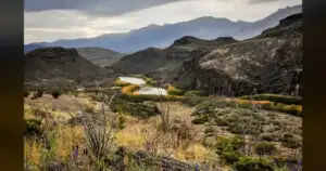 Rio Grande Gorge Bridge: From Open View To NM Fences