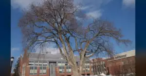 UMaine Faculty: Administration’s Cuts Threaten Academic Freedom and Quality