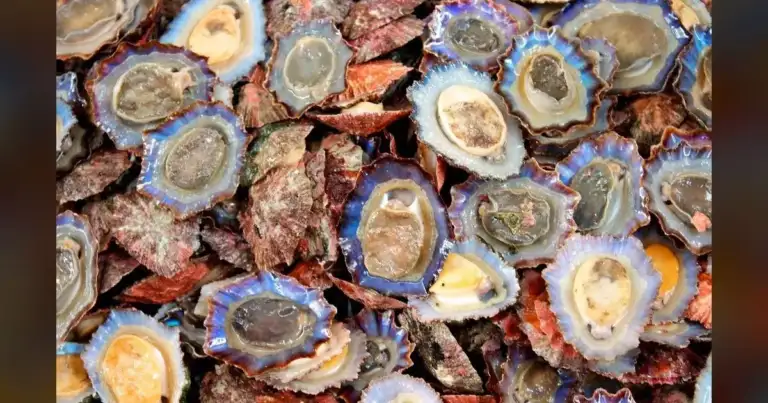 WA DOH: Western WA Shellfish Lethal, Harvesting Stops
