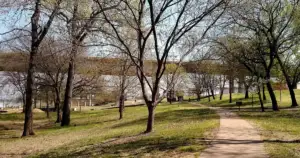 Arkansas Leads Nation in DEA Drug Take-Back: A Grim Reality
