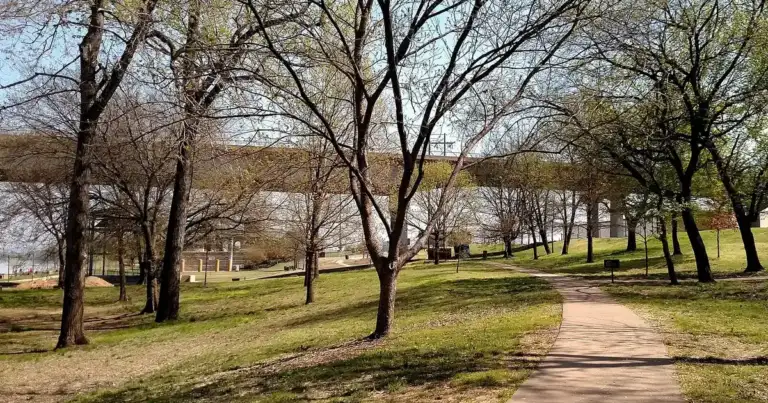 Arkansas Leads Nation in DEA Drug Take-Back: A Grim Reality