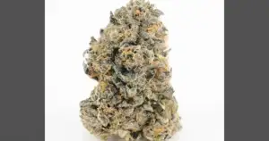 Georgia: Years of Cannabis Delays End July 1, 2026