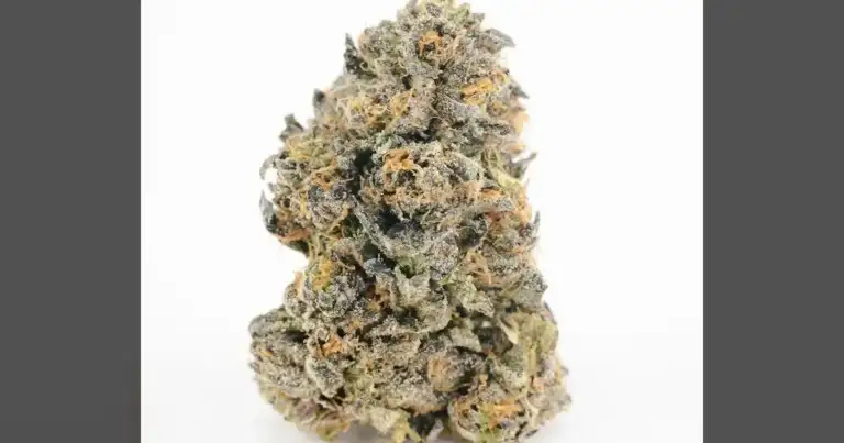 Georgia: Years of Cannabis Delays End July 1, 2026