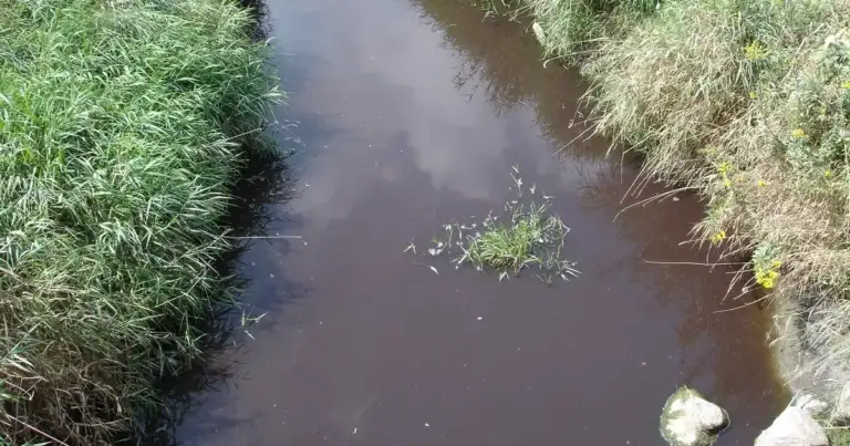 Wisconsin DNR's 'joke' response to Athens manure spill 2 Wisconsin DNR's 'joke' response to Athens manure spill