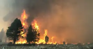 Oregon Sees 25% Jump in Human-Caused Wildfires