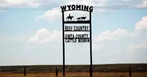 70% of Wyoming in Drought: Beef Herds Shrink 10%, Prices Soar