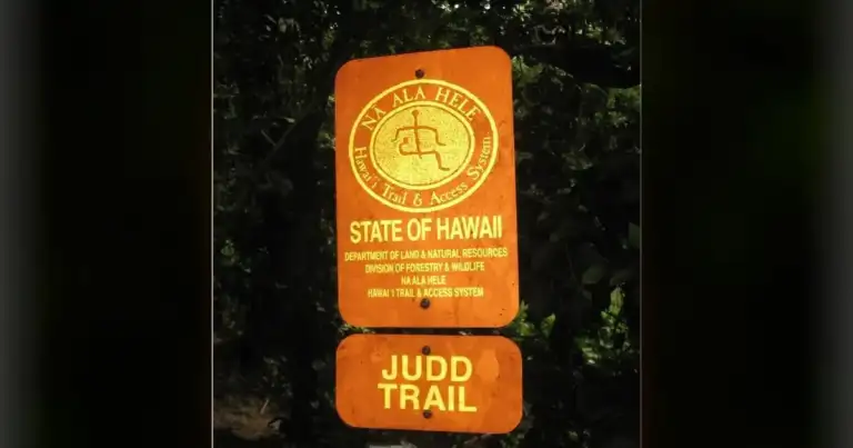 Oahu: 2 Drownings in Waikiki, Shark's Cove; 28 Last Year 1 Oahu: 2 Drownings in Waikiki, Shark's Cove; 28 Last Year