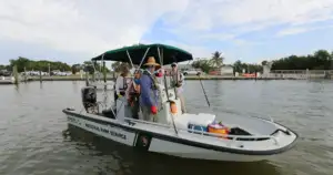Florida Fails Everglades Phosphorus Cleanup Deadline