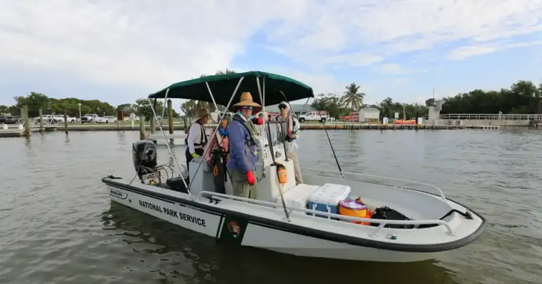 Florida Fails Everglades Phosphorus Cleanup Deadline 2 Florida Fails Everglades Phosphorus Cleanup Deadline