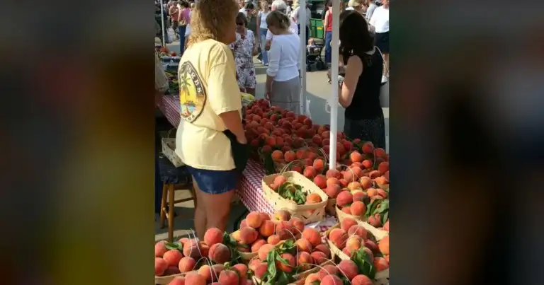 70% Peach Loss Rocks Maryland Farmers Awaiting Aid 1 70% Peach Loss Rocks Maryland Farmers Awaiting Aid