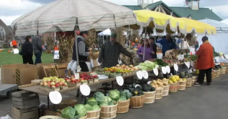 $350M Agritourism Lifeline: Michigan Farmers Clash with Townships 1 $350M Agritourism Lifeline: Michigan Farmers Clash with Townships