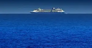 Pregnant Whale Dead on Cruise Ship Bow: Alaska Pays The Price