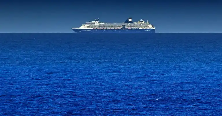 Pregnant Whale Dead on Cruise Ship Bow: Alaska Pays The Price