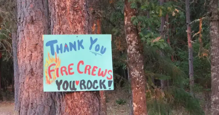 Grants Pass Arson: Police Hunt Suspect After Grill Burns
