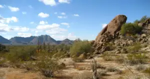 183 Migrants Dead in Arizona Desert—Crossings Down 15%