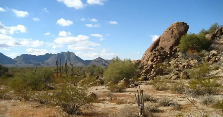 183 Migrants Dead in Arizona Desert—Crossings Down 15% 1 183 Migrants Dead in Arizona Desert—Crossings Down 15%