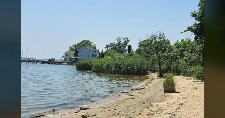 Middle River's Miami Beach Park is a known hazard. 1 Middle River's Miami Beach Park is a known hazard.