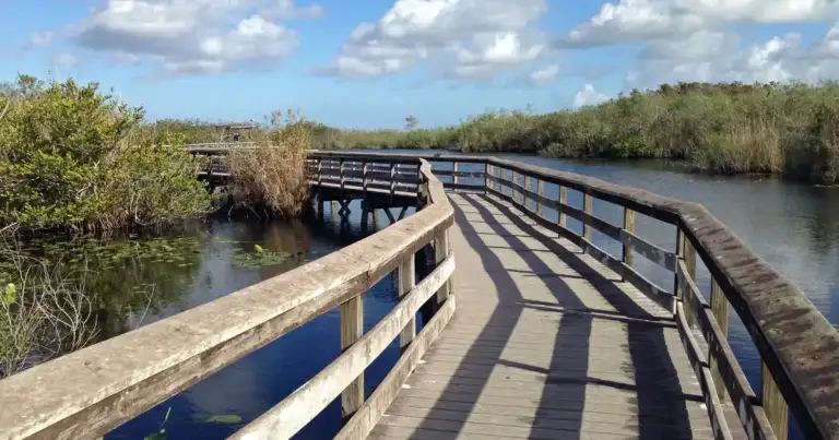 110°F Heat Index Bakes South Florida: Officials Fail 1 110°F Heat Index Bakes South Florida: Officials Fail